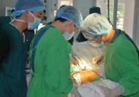 Khoa Chấn thương - Chỉnh hình Bệnh viện Đa khoa tỉnh phẫu thuật thành công ca thay khớp háng toàn ph